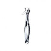 Extracting Forceps American Pattern